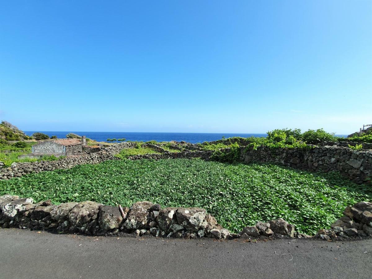 Villa Casinha De Nesquim Calheta de Nesquim Exterior foto